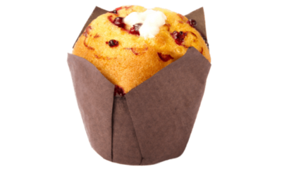 Cranberry and yogurt muffin