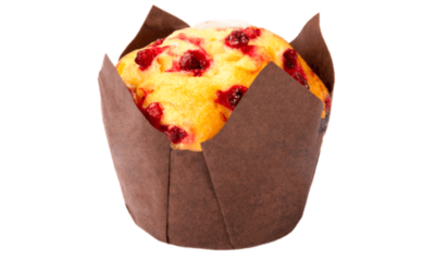 Cranberry and yogurt muffin medium